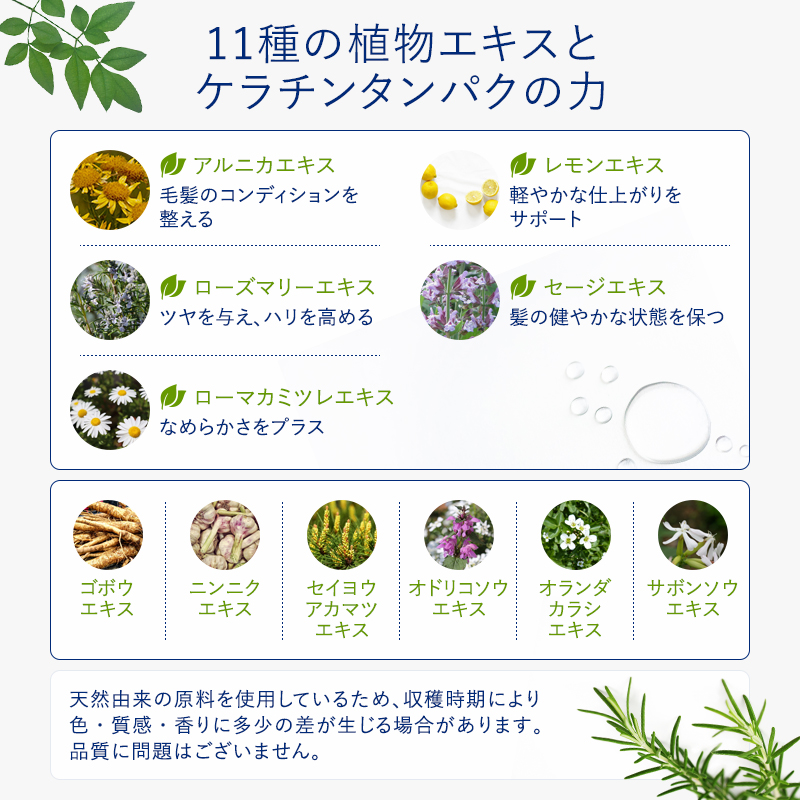 CH トリートメントのサムネイル画像4