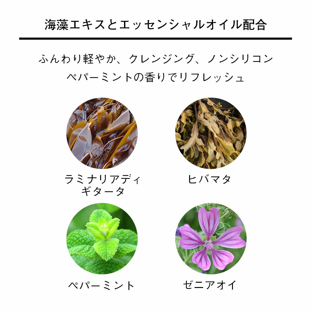 シャンポワン DTのサムネイル画像4