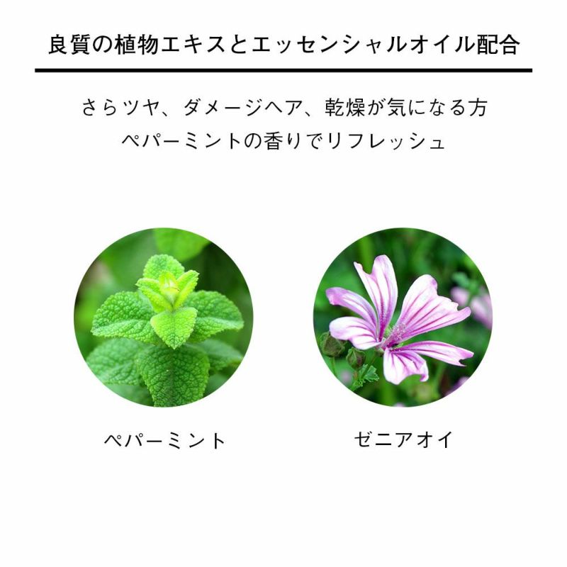 クレーム DTのイメージ画像3